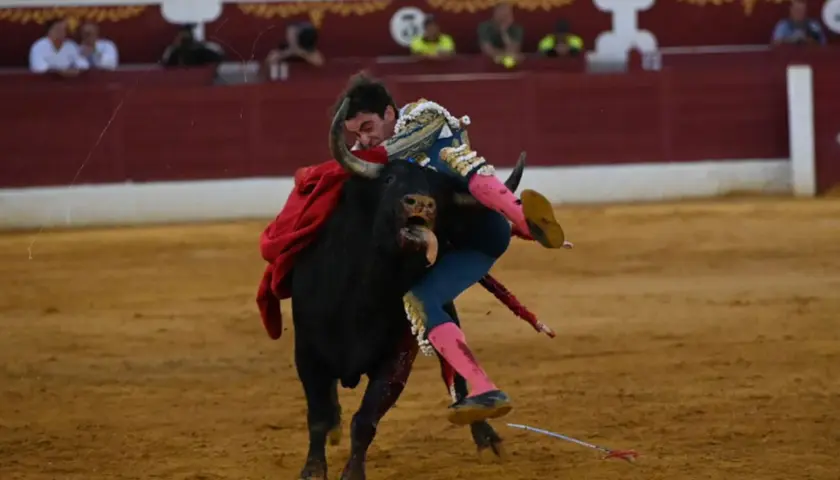 Un torero es embestido por un toro en la arena. El torero, con su traje de luces, cae al suelo, demostrando que una retirada a tiempo es una victoria, significado de prudencia.
