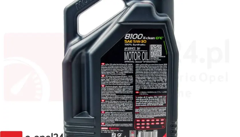 Motul 5W30 Diesel DPF: Wybierz olej idealny z ekspertem Florianem Wójcikiem
