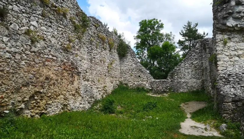 Ruiny zamku Bydlin porośnięte trawą, z kamiennymi murami i drzewami w tle.