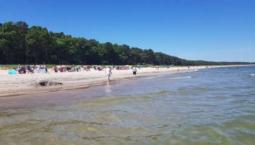 Sonniger Tag am Thiessow Strand mit vielen Strandkörben, Menschen und einem ruhigen Meer.