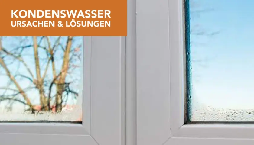 Kondenswasser an der Wand zeigt sich als feine Tropfen auf der Fensterscheibe. Ursachen und Lösungen für dieses Problem werden hier beleuchtet.