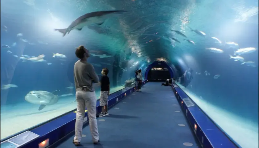 Oceanarium Kołobrzeg - atrakcje, ceny biletów i godziny otwarcia