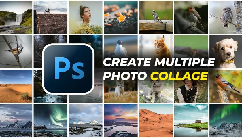 Photoshop: jak połączyć zdjęcia? Kolaże, panoramy, fotomontaże