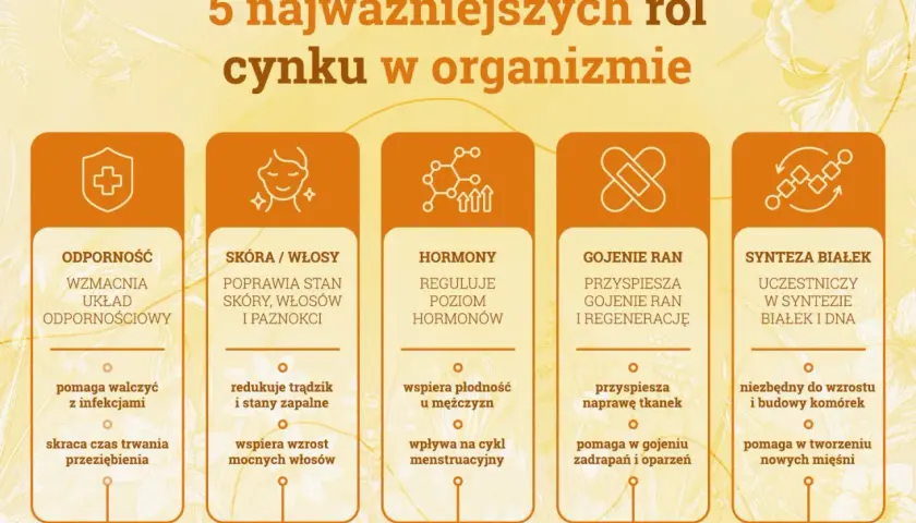 Grafika przedstawia 5 kolumn z ikonami i tekstem opisującym role cynku: odporność, skóra/włosy, hormony, gojenie ran, synteza białek.