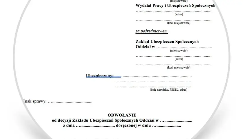 Czy ZUS zawsze składa apelację? Odkryj, kiedy rezygnuje z odwołania