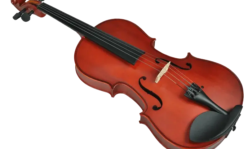 Rodzaje skrzypiec - poznaj fascynujący świat instrumentów smyczkowych