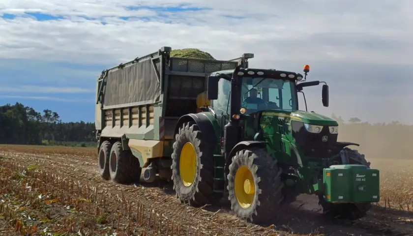Zielony traktor z przyczepą pełną zielonki zts pracuje na polu po żniwach.