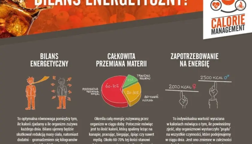 Infografika o bilansie energetycznym. Wyjaśnia, co to kcal, całkowitą przemianę materii i zapotrzebowanie na energię.