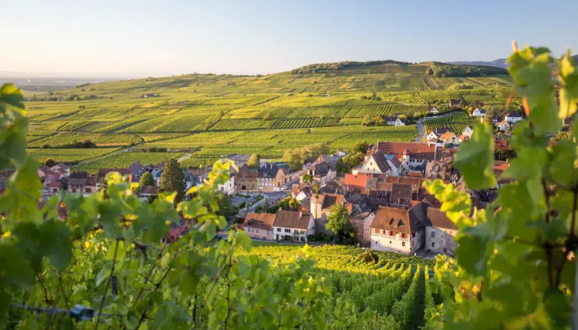 Vue d'un village pittoresque sur la route des vins d'Alsace, entouré de vignobles verdoyants baignés de soleil.