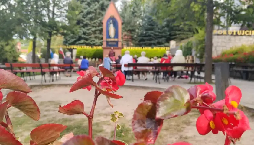 Czerwone kwiaty na pierwszym planie, w tle ludzie siedzący na ławkach przed kapliczką.