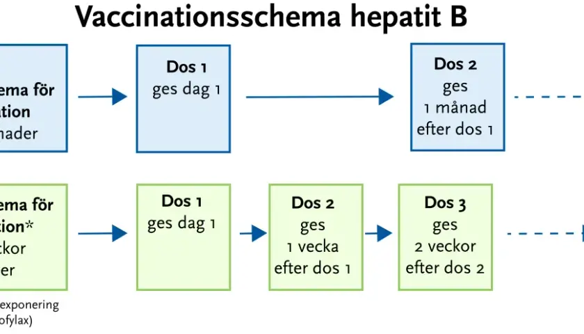 Schema för hepatit B-vaccination. Normalt schema ges vid 0, 1 och 6 månader. Snabbschema ges vid 0, 1, 3 veckor och 12 månader.