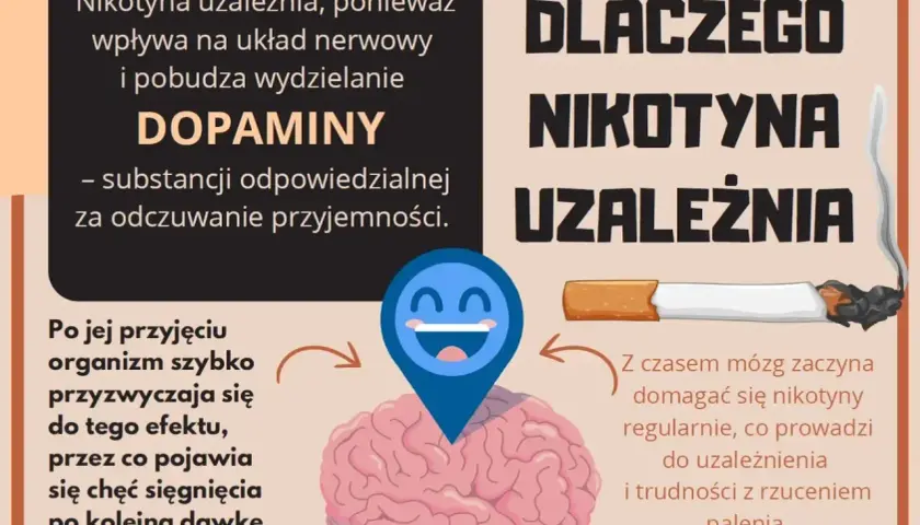 Grafika wyjaśnia, dlaczego nikotyna uzależnia, wpływając na mózg i dopaminę. Organizm szybko się przyzwyczaja, co prowadzi do trudności z rzuceniem palenia.