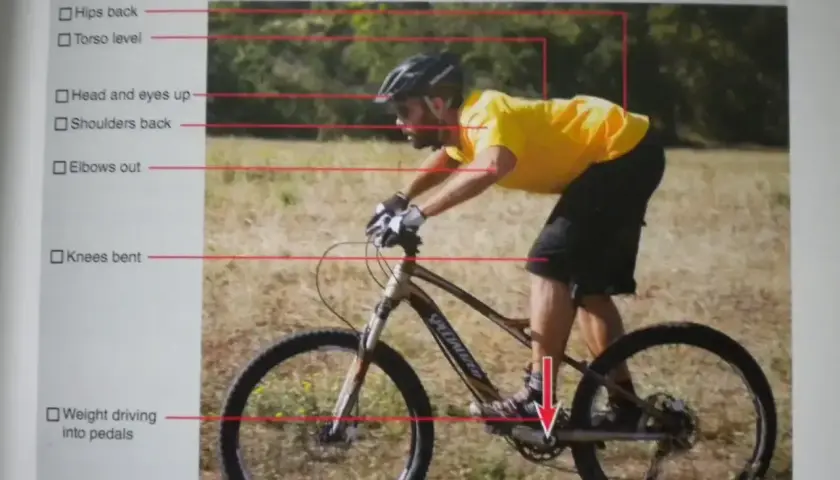 Prawidłowa pozycja na rowerze MTB: biodra cofnięte, tułów lekko pochylony, głowa uniesiona, łokcie zgięte, kolana ugięte, ciężar na pedałach.