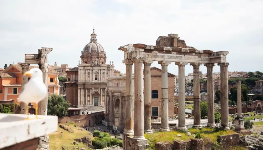 Un goéland observe les ruines antiques du Palatin à Rome, avec une église à dôme en arrière-plan.