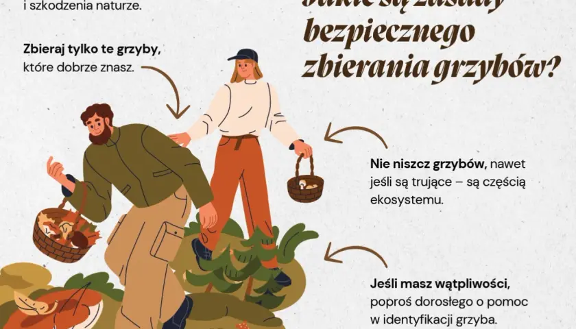 Para ilustruje zasady bezpiecznego zbierania grzybów. Mężczyzna i kobieta w lesie zbierają grzyby do koszyków, ucząc się, jak zbieramy grzyby.