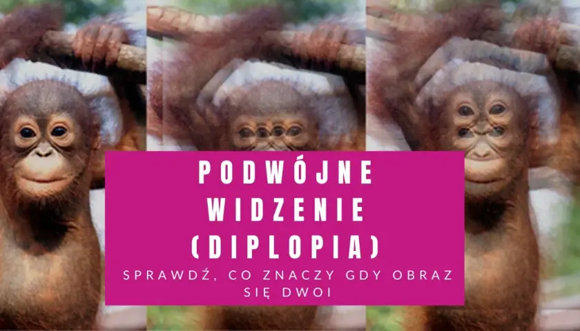Małpka z potrójnymi oczami, jakby miała podwójne widzenie. Sprawdź, co to znaczy, gdy obraz się dwoi.