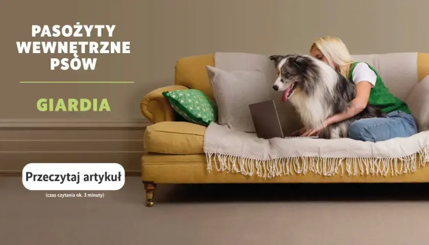 Co na odrobaczanie psa i kota? Wiem, jak ochronić pupila!