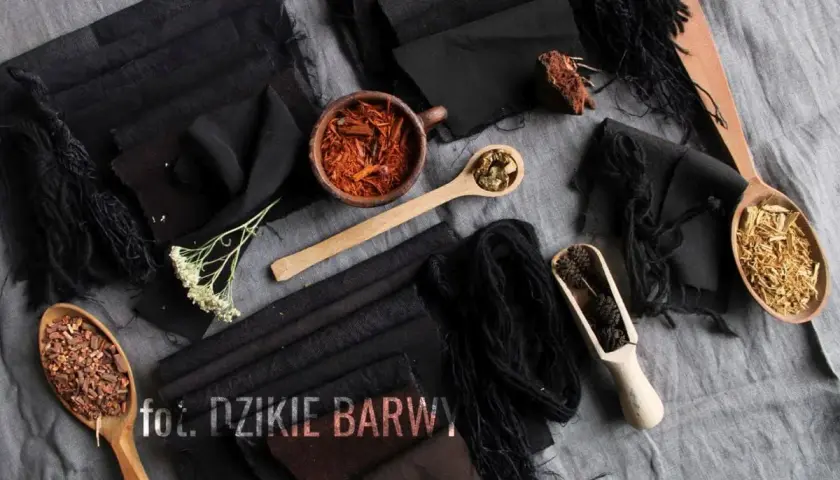 Naturalne składniki do farbowania ubrań na czarno: korzenie, kora, zioła. Ciemne tkaniny i nici czekają na przemianę.