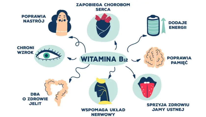 Wykres pokazuje korzyści witaminy B12: poprawia nastrój, chroni wzrok, dba o jelita, wspiera układ nerwowy, poprawia pamięć, dodaje energii, zapobiega chorobom serca i sprzyja zdrowiu jamy ustnej. Nadmiar witaminy B12 nie jest wskazany.