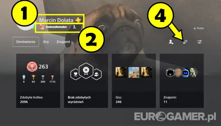 Zmiana nicku w PSN: Czy stracisz trofea? Poradnik i ryzyka