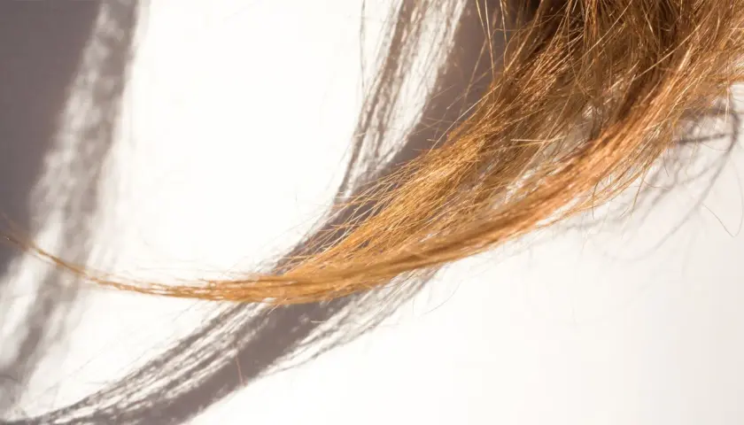 Un mechón de cabello castaño claro con puntas abiertas, iluminado por la luz del sol que proyecta sombras alargadas.