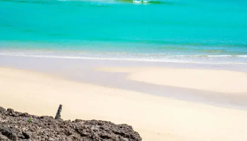 Piękna plaża na Fuerteventurze. Woda ma idealną temperaturę do kąpieli, a słońce grzeje.