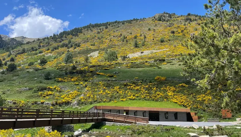 Un puente de madera cruza un arroyo en el **Vall d'Incles**, con una colina cubierta de flores amarillas y un edificio de techo verde al fondo.