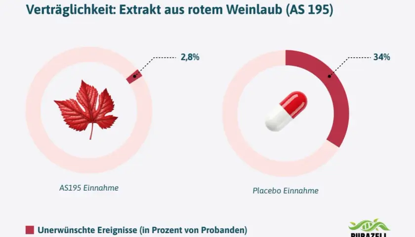 Vergleich der Verträglichkeit: Rotes Weinlaub (AS195) zeigt nur 2,8% unerwünschte Ereignisse, Placebo 34%.