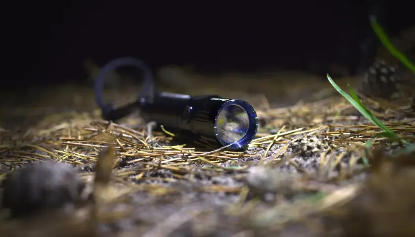 Latarka Olight M2R Warrior leży na ściółce leśnej, gotowa do akcji.