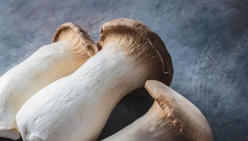 Jak uprawiać boczniaka mikołajkowego w domu: 5 prostych kroków do sukcesu