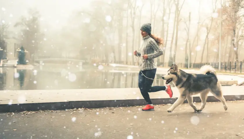 Kobieta i jej pies husky cieszą się wspólnym bieganiem w zimowy, mglisty dzień nad jeziorem.
