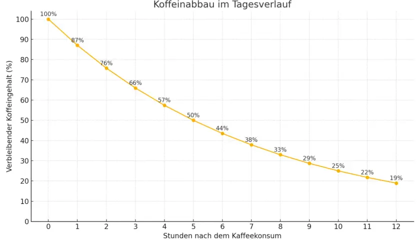 Der Graph zeigt den Koffeinabbau im Körper über 12 Stunden. Nach 12 Stunden sind nur noch 19% des ursprünglichen mg Koffein pro Tag vorhanden.