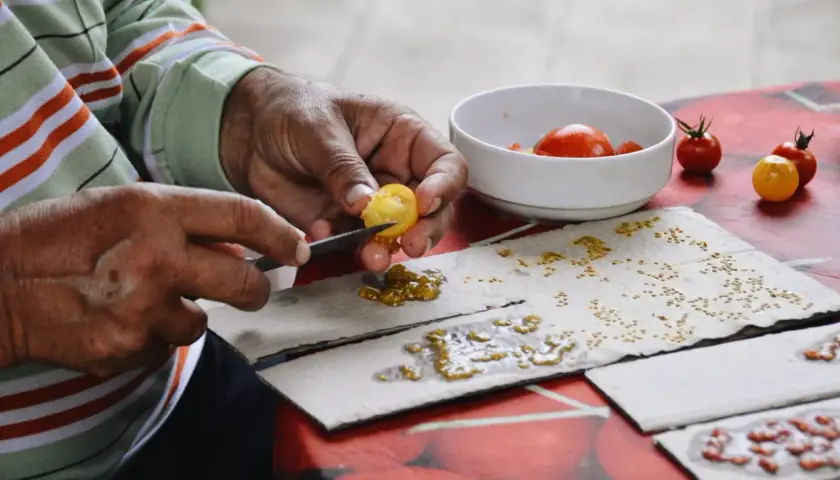 Mains habiles séparant les graines de tomates pour les faire sécher. Un geste patient pour la prochaine récolte.