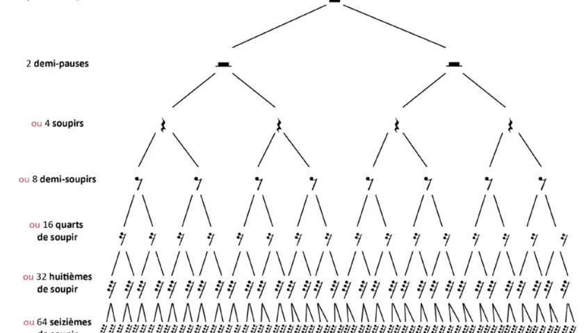 Arbre de valeurs musicales montrant qu'une pause entière équivaut à 2 demi-pauses, 4 soupirs, 8 demi-soupirs, 16 quarts de soupir, 32 huitièmes de soupir, ou 64 seizièmes de soupir.