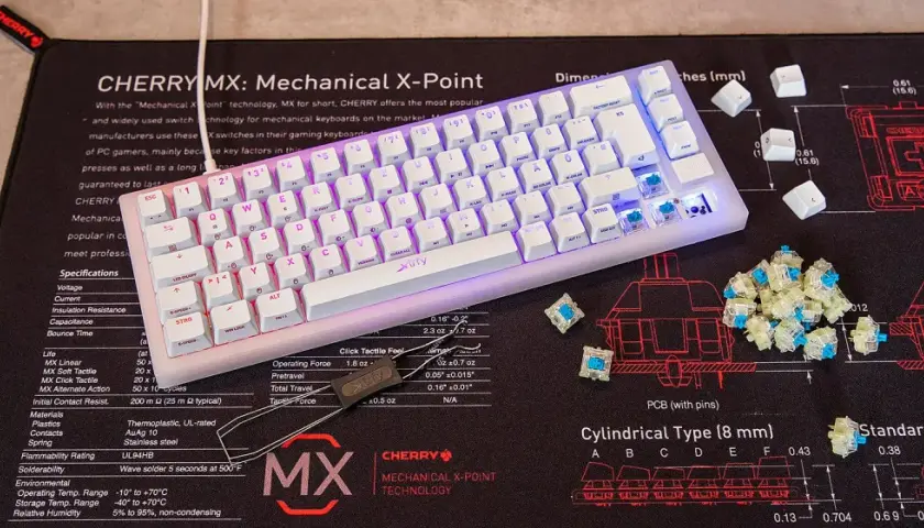 Mechanische Tastatur-Switches: CHERRY MX erklärt die Tastatur Switches Unterschiede. Blaue Switches liegen neben der Tastatur.