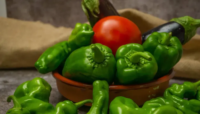 Verdure fresche: peperoni verdi, pomodoro e melanzane. Queste sono solanacee, cosa sono? Famiglia di piante da orto.