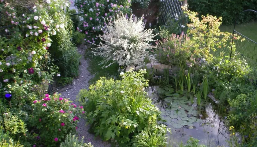 Ein üppiger, kleiner Garten mit Rosenbögen, einem Teich und einem Kiesweg.