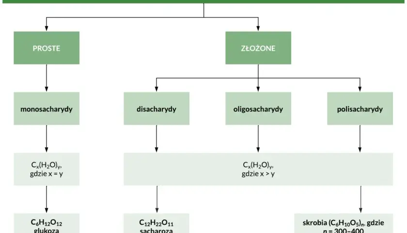 Schemat klasyfikacji węglowodanów: proste (monosacharydy, np. glukoza) i złożone (disacharydy, oligosacharydy, polisacharydy, np. skrobia).