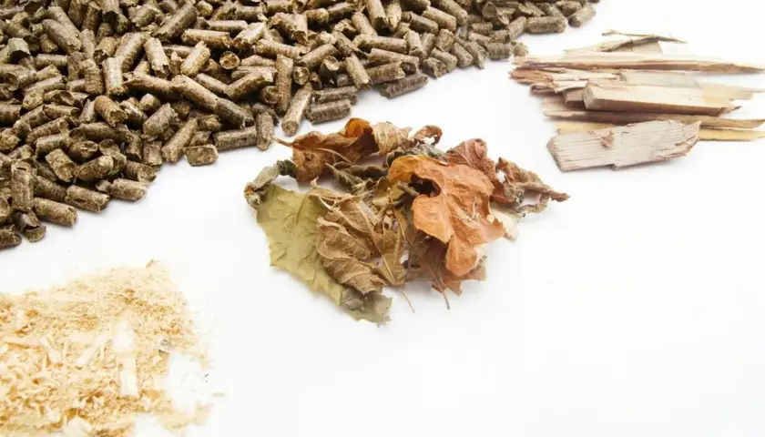 Surowce do produkcji pelletu: trociny, suche liście, kawałki drewna i gotowy pellet. Dowiedz się, jak wyprodukować pellet.