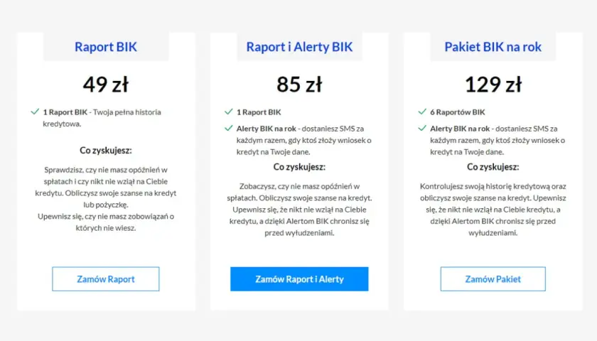 Alerty BIK: Inwestycja w bezpieczeństwo? Czy warto w 2026?
