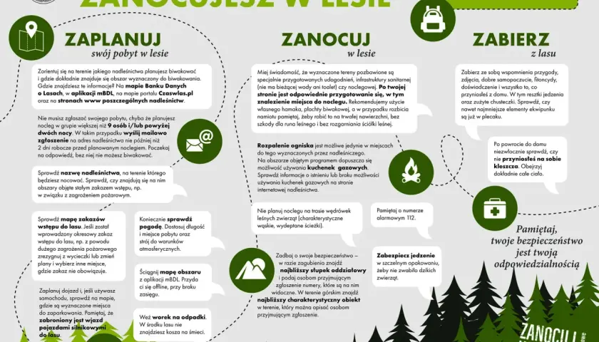 Łuk w lesie: Czy to legalne? Poznaj ryzyko i alternatywy.