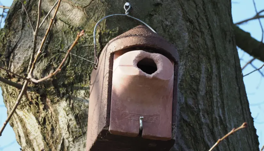 Ein Nistkasten für Spechte hängt an einem Baum.