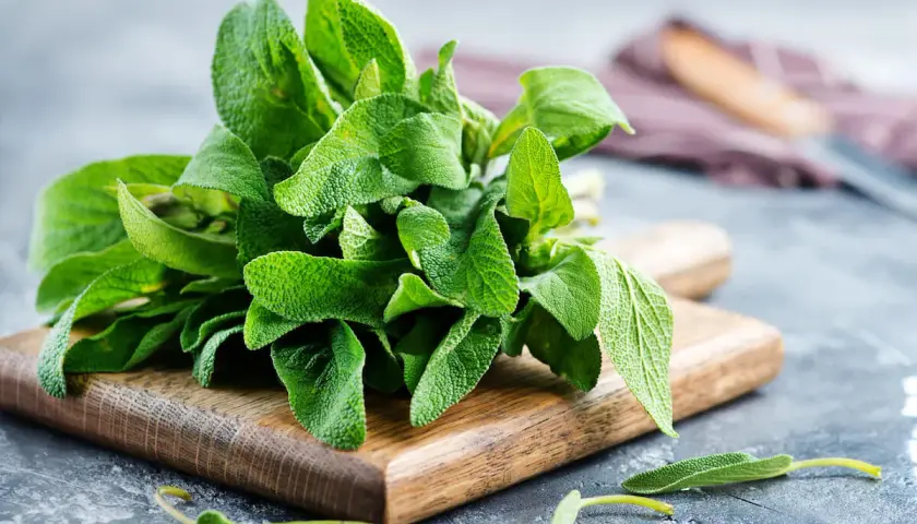 Un mazzo di salvia fresca su un tagliere di legno. Scopri come usare la salvia in cucina per insaporire i tuoi piatti.