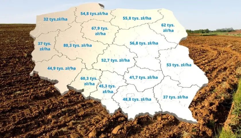 Mapa Polski z zaznaczonymi cenami za hektar ziemi. Sprawdź, ile kosztuje hektar ziemi w Twoim regionie.