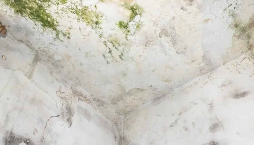 Ile schnie strop po zalaniu? Kluczowe czynniki i metody osuszania