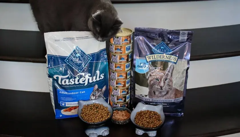 A curious cat investigates a selection of Blue Buffalo cat food, including Tastefuls and Wilderness. Is Blue Buffalo good for cats? This spread suggests it's a popular choice.