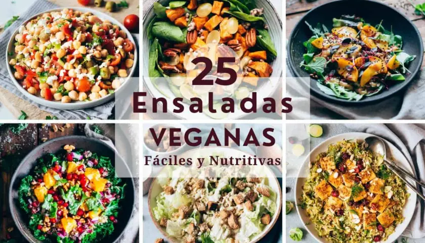Collage de seis ensaladas veganas, con garbanzos, boniato, aguacate y más. ¡25 ensaladas veganas fáciles y nutritivas!