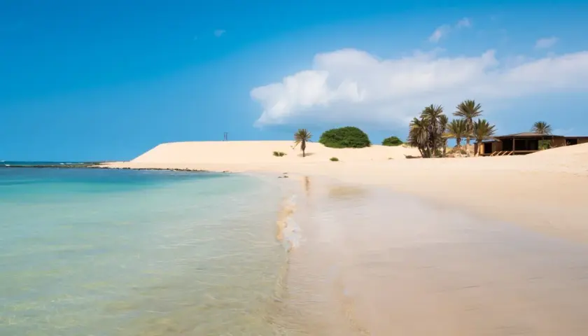 Traumhafter Strand mit Palmen und Dünen. Perfekt für die beste Reisezeit Kapverden, mit klarem Wasser und Sonnenschein.