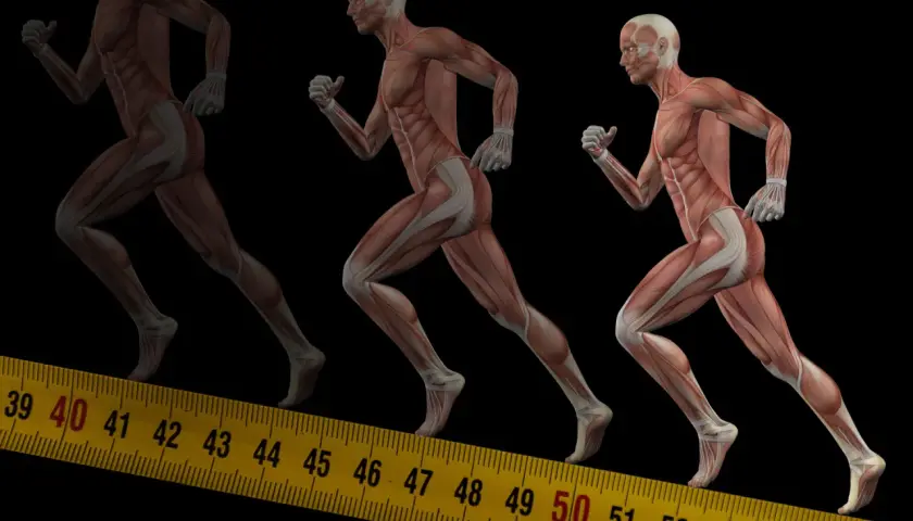 Anatomia biegu: zobacz, jakie mięśnie pracują przy bieganiu. Mięśnie nóg, pośladków i brzucha w akcji.
