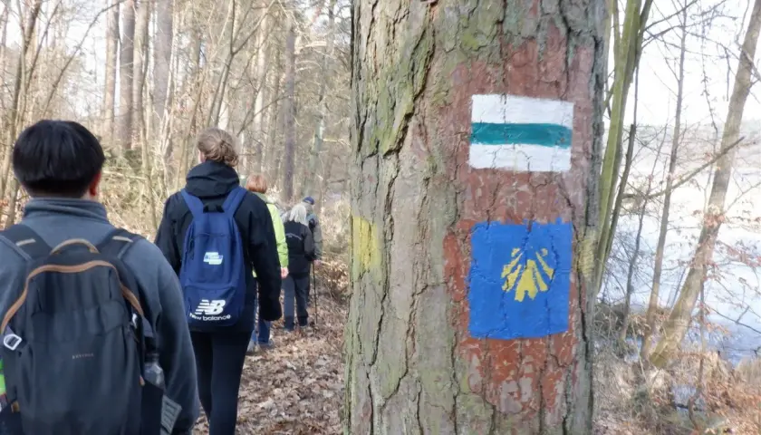 Grupa turystów w lesie, na drzewie oznaczenia szlaków PTTK: biało-zielony i niebieski z żółtą muszlą.